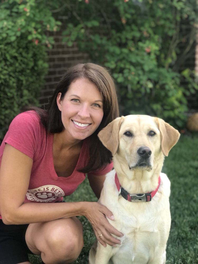 SEE JANE WALK THE DOG Updated April 2024 Zionsville, Indiana Dog