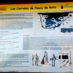 Corrales de Rota - Corrales de Pesca de Rota 2-7-18