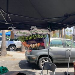Khadija Musame's Produce - collard greens 2 bunches for 5 bucks