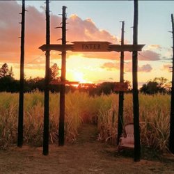 Strickler Monster Farms - Enter the haunted corn maze