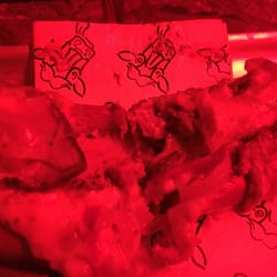 Boozy Cow