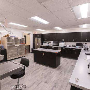 Spectrum Pet Hospital - Veterinarians Near Me - Irvine, California Spectrum Pet Hospital - Veterinarians Near Me - Irvine, California