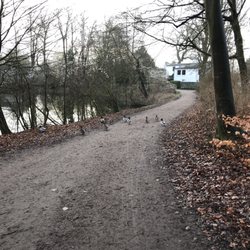 Wesselhoeftpark - Tierischer Querverkehr