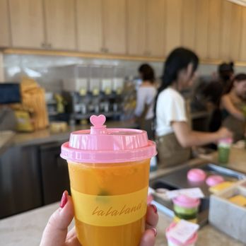 La La Land - Refresher - Cafes Near Me - Los Angeles, California La La Land - Refresher - Cafes Near Me - Los Angeles, California