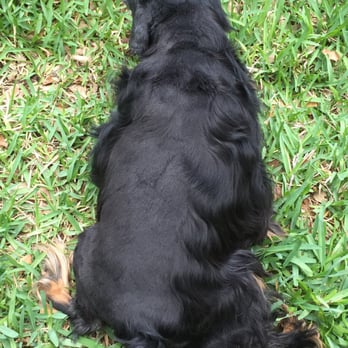 Petco - Pet Stores Near Me - San Antonio, Texas Petco - Pet Stores Near Me - San Antonio, Texas