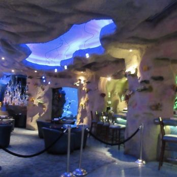Downtown Aquarium - Bar area - Museums Near Me - Denver, Colorado Downtown Aquarium - Bar area - Museums Near Me - Denver, Colorado