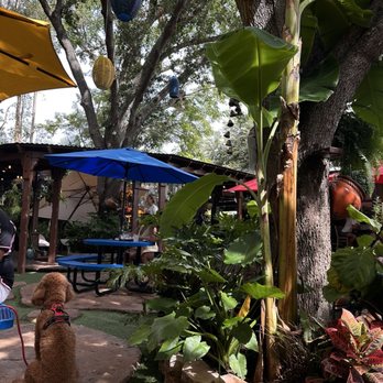 Lpcx Cafe - Bakeries Near Me - Tampa, Florida