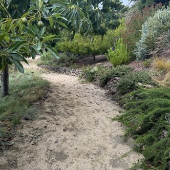 R G Landscaping - DG path - Landscaping Near Me - Watsonville, California