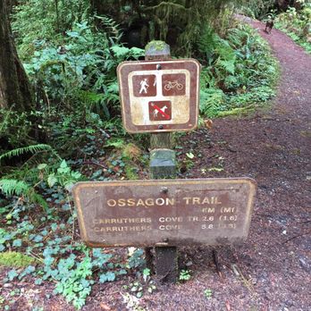 Prairie Creek Redwoods State Park - Parks Near Me - Orick, California Prairie Creek Redwoods State Park - Parks Near Me - Orick, California
