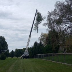 Hardwick Tree Care