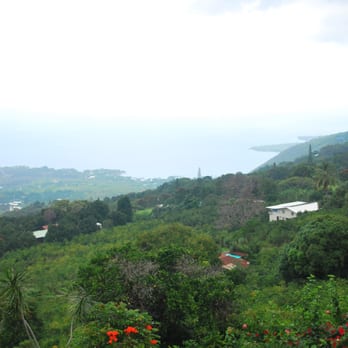 The Coffee Shack - Great view of Captain Cook - Coffee & Tea Near Me - Captain Cook, Hawaii