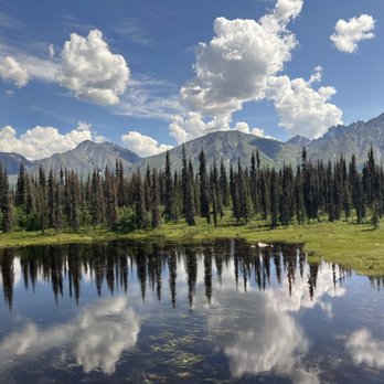 Alaska Railroad - The view from the Denali Star is fabulous. - Trains Near Me - Anchorage, Alaska