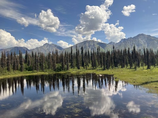 Alaska Railroad by null