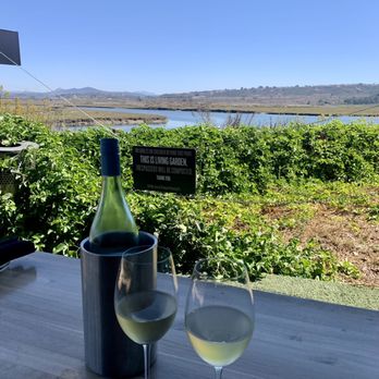 Viewpoint Brewing - Yes it's a brewery... but we just love our vino - Breweries Near Me - Del Mar, California