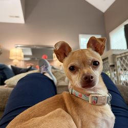 Dry Pond Animal Hospital and Pet Resort