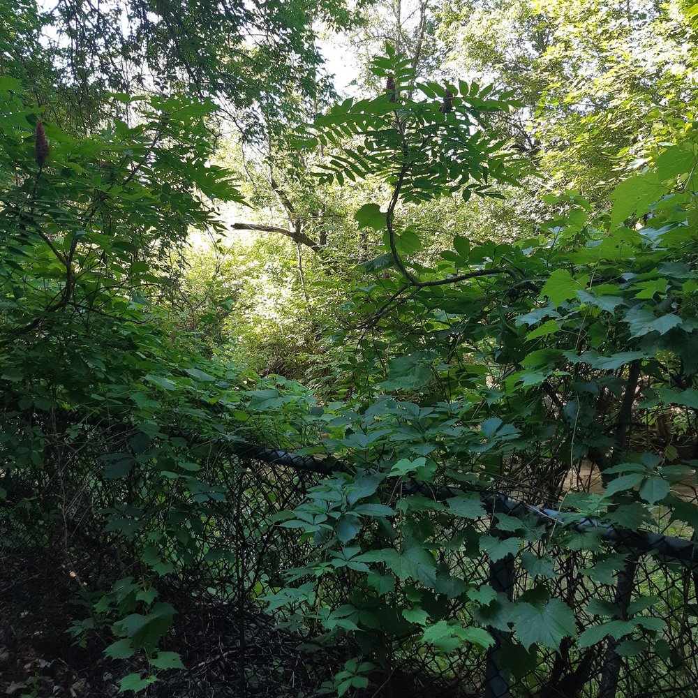 East Don Parkland - Parks Near Me - Toronto, Ontario East Don Parkland - Parks Near Me - Toronto, Ontario