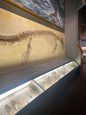 Memphis Museum of Science & History by null