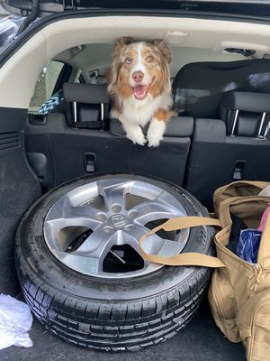 Walmart Supercenter by null