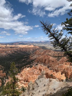 Bryce Point by null