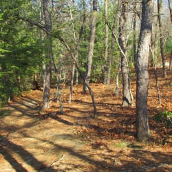 Blackstone Gorge - Peaceful woods