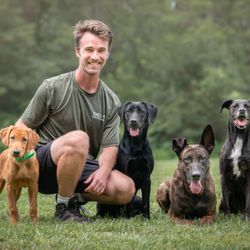 Shea-9 Dog Training