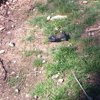 Poo Poo Point - Chirico Trail - Maybe it's call poo poo point from all the dog poo bags left along the trail by irresponsible dog owners - Hiking Near Me