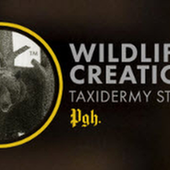 Wildlife Creations Taxidermy Studio - untitled - Taxidermy Near Me - Pittsburgh, Pennsylvania Wildlife Creations Taxidermy Studio - untitled - Taxidermy Near Me - Pittsburgh, Pennsylvania