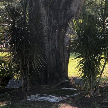 Pineywood Cemetery - Funeral Services & Cemeteries Near Me - Winter Park, Florida Pineywood Cemetery - Funeral Services & Cemeteries Near Me - Winter Park, Florida