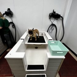 Natural Pawz - Self wash station