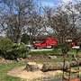 Photo of Arbor Care Solutions