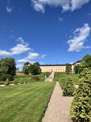 Tropical Greenhouse by null