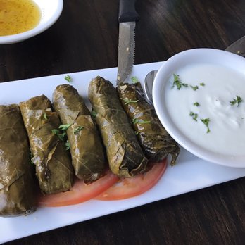 Mora Grill - Lamb grape leaves - Syrian Near Me - Pompano Beach, Florida