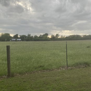 Steering Solutions - After clearing - Excavation Services Near Me - Washington, Texas