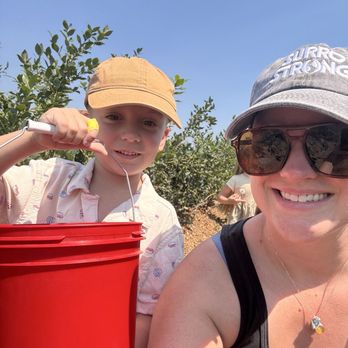 Berry Blossom Farms - Buckets provided! - Fruits & Veggies Near Me - Rathdrum, Idaho Berry Blossom Farms - Buckets provided! - Fruits & Veggies Near Me - Rathdrum, Idaho