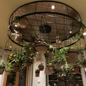 FIG Restaurant - Bars Near Me - Santa Monica, California