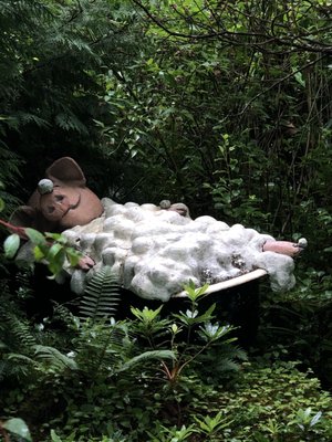 The Ewe Experience by null