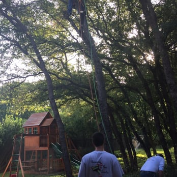 Anderton Tree Service - Timber! - Landscaping Near Me - Fort Worth, Texas
