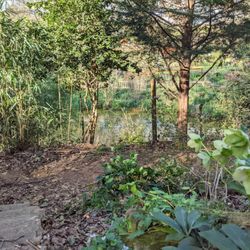 Flourish & Flora - Duck Pond & Emu Sanctuary