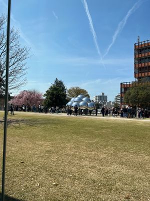 Kanazawa 21st Century Museum of Contemporary Art by null