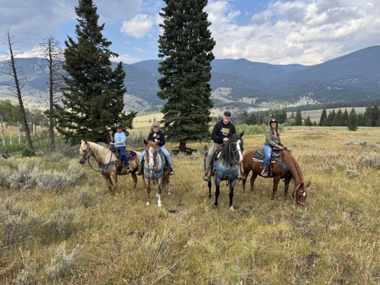 Jake's Horses Inc. by null