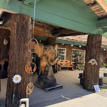 Grandfather Tree - Souvenir Shops Near Me - Piercy, California Grandfather Tree - Souvenir Shops Near Me - Piercy, California