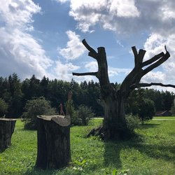 Buchheim Museum der Phantasie