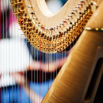 Elena Mashkovtseva Harp - A harp - Musical Instruments & Teachers Near Me