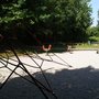 Photo of Spielplatz
