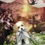 Photo of My Best Friend Dog Spa