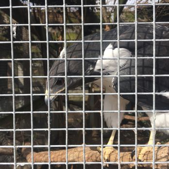 TGR Exotics Wildlife Park - Only possible to see if you do the Reptile Encounter - Zoos Near Me - Spring, Texas