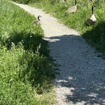 Gallery Park - Parks Near Me - Glenview, Illinois