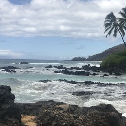 Landscape, ocean, trees, rock Landscape, ocean, trees, rock