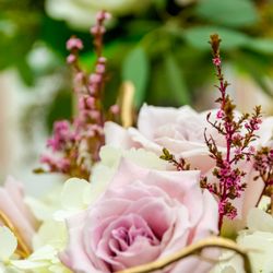 Peace and Blessings Florist