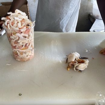 Mckenzies Fresh Fish and Conch - Conch - Trinidadian Near Me Mckenzies Fresh Fish and Conch - Conch - Trinidadian Near Me